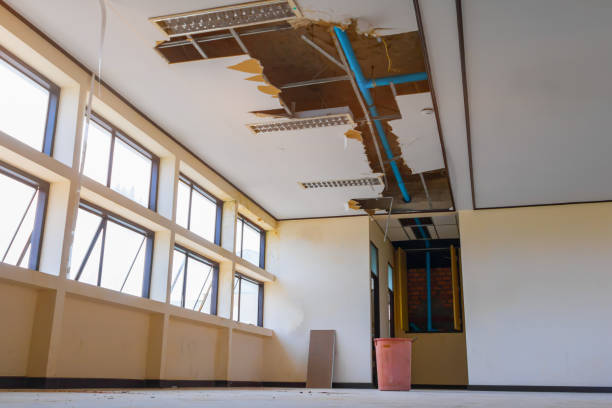 Best Basement water damage restoration  in Watts Mills, SC