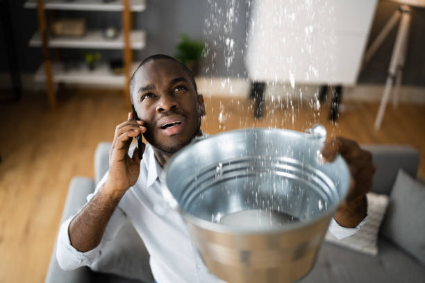 Best Residential water damage restoration  in Watts Mills, SC