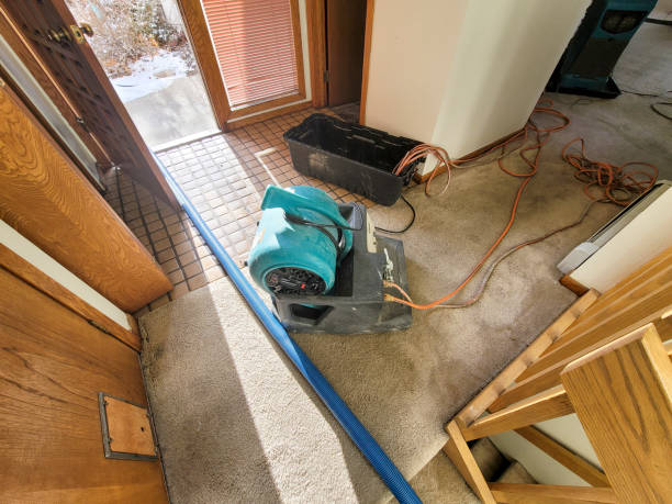 Best Water damage restoration cost  in Watts Mills, SC