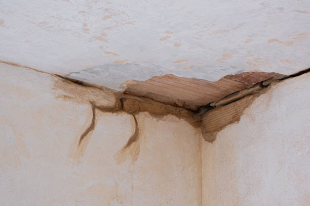 Watts Mills, SC Water damage restoration Company