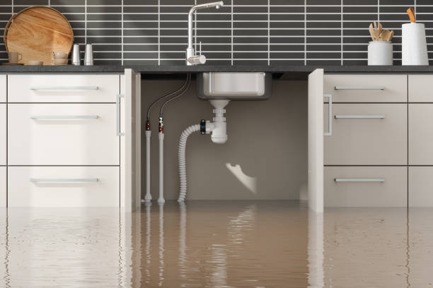 Best Basement water damage restoration  in Watts Mills, SC